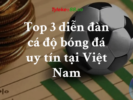 Top 3 diễn đàn cá độ bóng đá uy tín tại Việt Nam