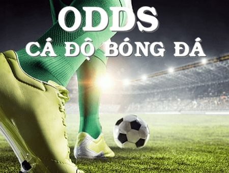 Tỷ lệ kèo Odds là gì? Kinh nghiệm cược kèo Odds