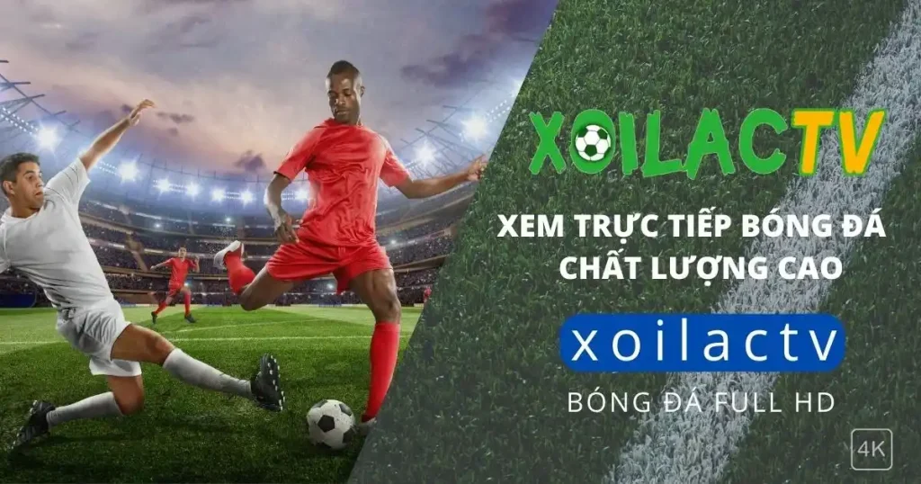 xoilactv